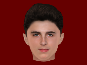 Timothee Chalamet Head - Low poly head for game Modelo 3D