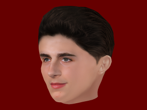 Timothee Chalamet Head - Low poly head for game 3D 모델