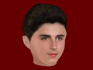 Timothee Chalamet Head - Low poly head for game 3D 모델