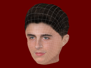 Timothee Chalamet Head - Low poly head for game 3D 모델