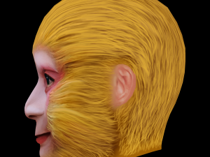 Monkey King - Sun Wukong Head - Low Poly Head for Game Modelo 3D