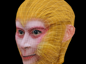 Monkey King - Sun Wukong Head - Low Poly Head for Game Modelo 3D