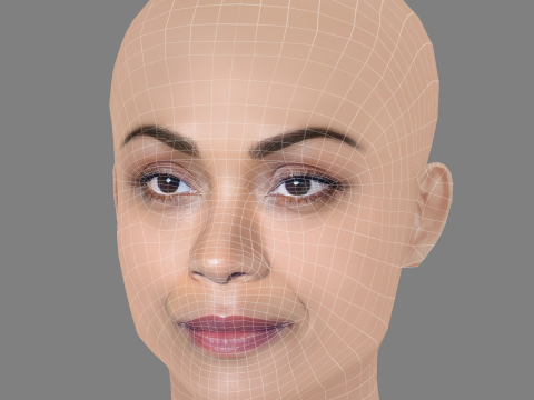 Zoe Saldana Head - Low Poly Head for Game - No Hair 3D Модель