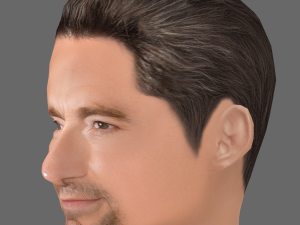 Hugh Jackman Head - Low poly head for game 3D 모델