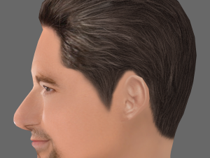 Hugh Jackman Head - Low poly head for game 3D 모델