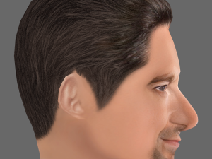 Hugh Jackman Head - Low poly head for game 3D 모델