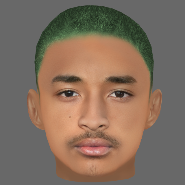 Jaden Smith Head - Low poly head for game Model 3D .c4d .max .obj .3ds .fbx .stl .blend 