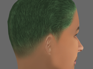 Jaden Smith Head - Low poly head for game Model 3D