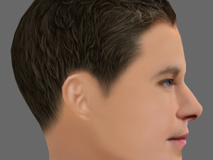 Matt Damon Head - Low poly head for game 3D 模型