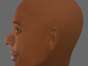 Dave Chappelle Head - Low poly head for game 3D Model