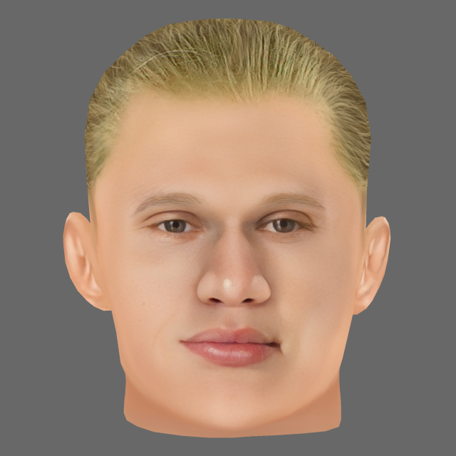 Erling Haaland Head - Low poly head for game 3D 模型 .c4d .max .obj .3ds .fbx .stl .blend 
