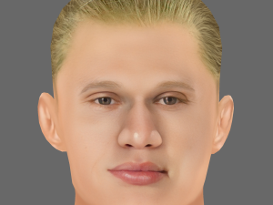 Erling Haaland Head - Low poly head for game 3D 模型