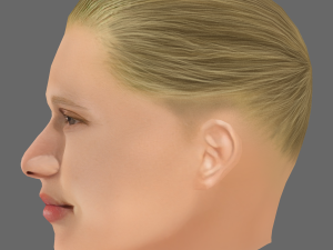 Erling Haaland Head - Low poly head for game 3D 模型