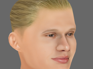 Erling Haaland Head - Low poly head for game 3D 模型