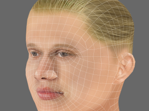 Erling Haaland Head - Low poly head for game 3D 模型