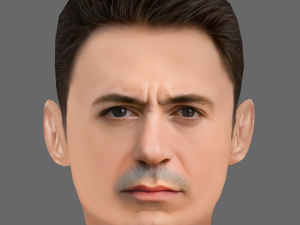 Robert Downey Jr Head - Low poly head for game 3D 模型