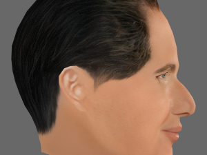 Garry Shandling Head - Low poly head for game 3D मॉडल