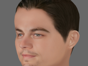 Leonardo DiCaprio Head - Low poly head for game 3Dモデル