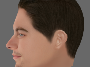 Leonardo DiCaprio Head - Low poly head for game 3Dモデル
