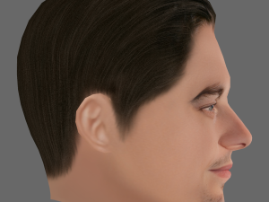 Leonardo DiCaprio Head - Low poly head for game 3Dモデル