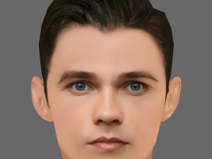 Levi Miller Head - Low poly head for game 3D Model