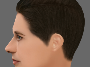 Levi Miller Head - Low poly head for game 3D Model