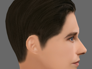 Levi Miller Head - Low poly head for game 3D Model