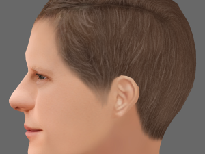 Lucas Hedges Head - Low poly head for game Modello 3D