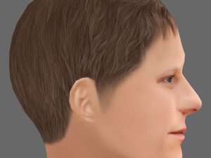 Lucas Hedges Head - Low poly head for game Modello 3D