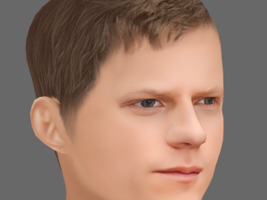 Lucas Hedges Head - Low poly head for game Modello 3D