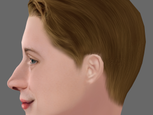 Macaulay Culkin Head - Low poly head for game 3D Model