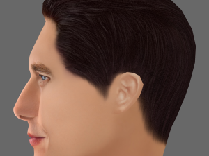 Matthew McConaughey Head - Low poly head for game 3D Model