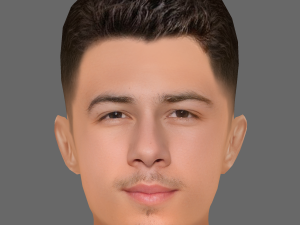 Nick Jonas Head - Low poly head for game 3D Model