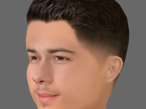 Nick Jonas Head - Low poly head for game 3D Model