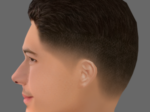 Nick Jonas Head - Low poly head for game 3D Model