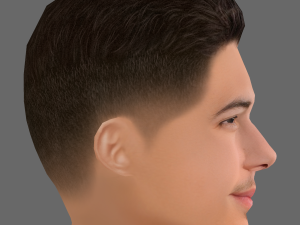 Nick Jonas Head - Low poly head for game 3D Model