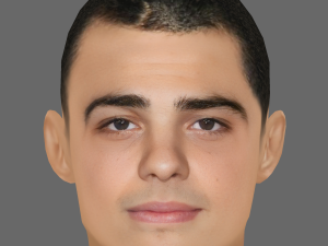 Noah Centineo Head - Low poly head for game 3Dモデル