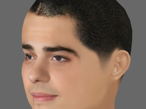 Noah Centineo Head - Low poly head for game Modèle 3D