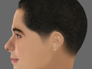 Noah Centineo Head - Low poly head for game Modèle 3D