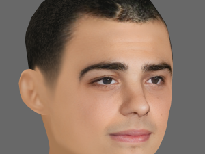 Noah Centineo Head - Low poly head for game Modèle 3D