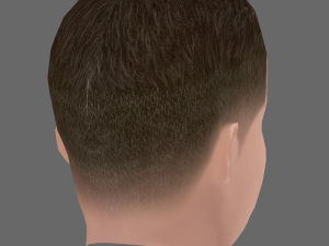 Shawn Mendes Head - Low poly head for game 3D मॉडल