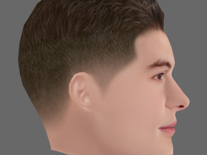 Shawn Mendes Head - Low poly head for game 3D मॉडल
