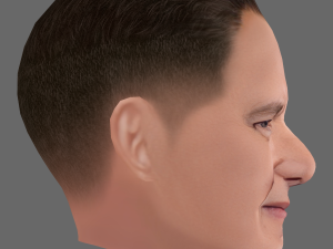 Tom Hanks Head - Low poly head for game 3D मॉडल
