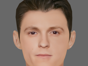 Tom Holland Head - Low poly head for game 3D Model