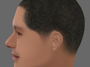 Trevor Noah Head - Low poly head for game 3D Модель