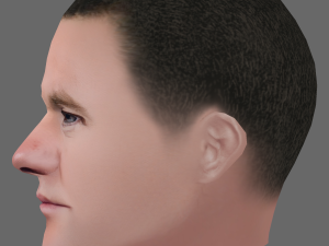 Wayne Rooney Head - Low poly head for game 3D Model