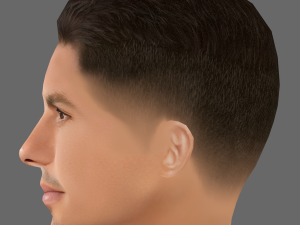 Rodrigo Hernandez Cascante Head - Low poly head for game 3D Model