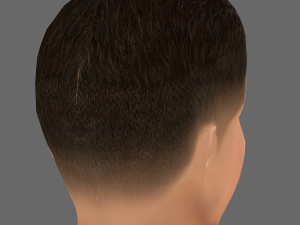 Rodrigo Hernandez Cascante Head - Low poly head for game 3D Model
