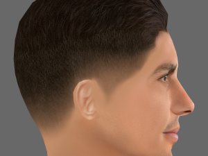 Rodrigo Hernandez Cascante Head - Low poly head for game 3D Model