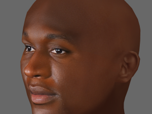 Romelu Lukaku Head - Low poly head for game 3D मॉडल